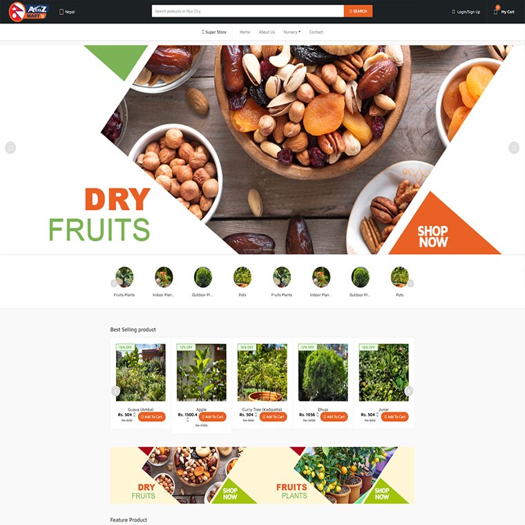 Online Shopping Website